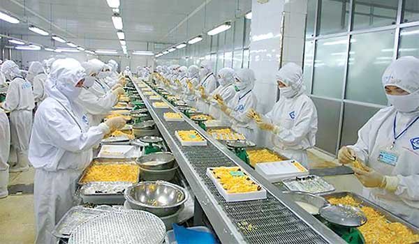 Kỳ vọng đoạn kết đẹp cho mùa tôm khó 