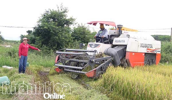 Làm giàu nhờ cơ giới hóa nông nghiệp
