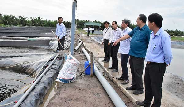 Trao đổi về liên kết sản xuất, tiêu thụ sản phẩm cá rô phi