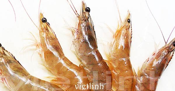 Thành phần hóa học của tôm