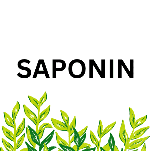 Quy trình 5 ngày xử lý ao tôm đang bị nhớt nước và tảo dày bằng phương pháp phối hợp saponin với vi sinh