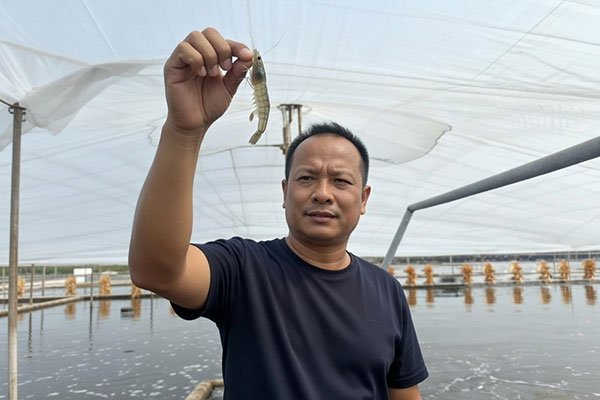 Tỷ phú cù lao khởi nghiệp từ những vụ tôm ‘may rủi’