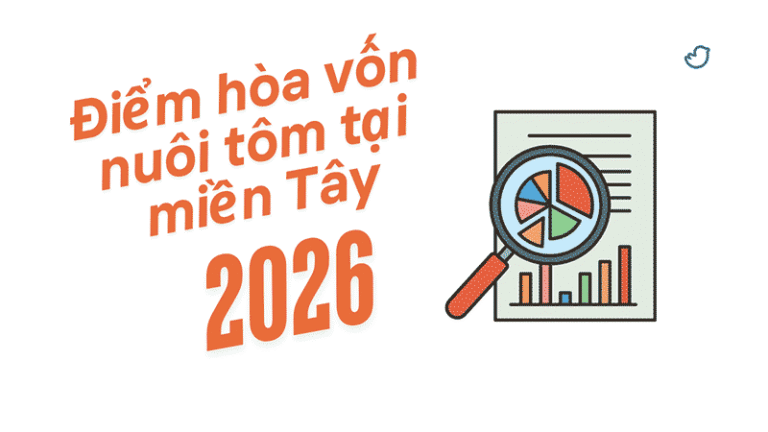 Điểm hòa vốn cho người nuôi tôm tại Miền Tây năm 2026