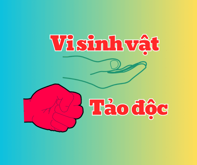 Vi sinh vật nào thường được dùng để phân hủy chất thải hữu cơ, ức chế tảo độc và vi khuẩn Vibrio gây bệnh hoại tử gan tụy cấp tính EMS, AHPND?