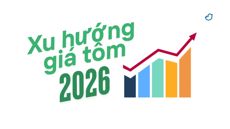 Dự báo giá tôm sú và tôm thẻ chân trắng năm 2026